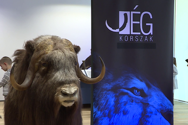 J�gkorszak ki�ll�t�s ny�lt