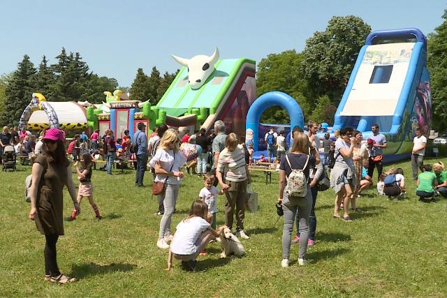 Tbb ezren tltttk a gyereknapot a Vizslaparkban