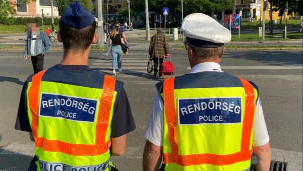 Közel 5000 szabálytalanságot tárt fel a zebra terv Közel 5000 szabálytalanságot tárt fel a zebra terv