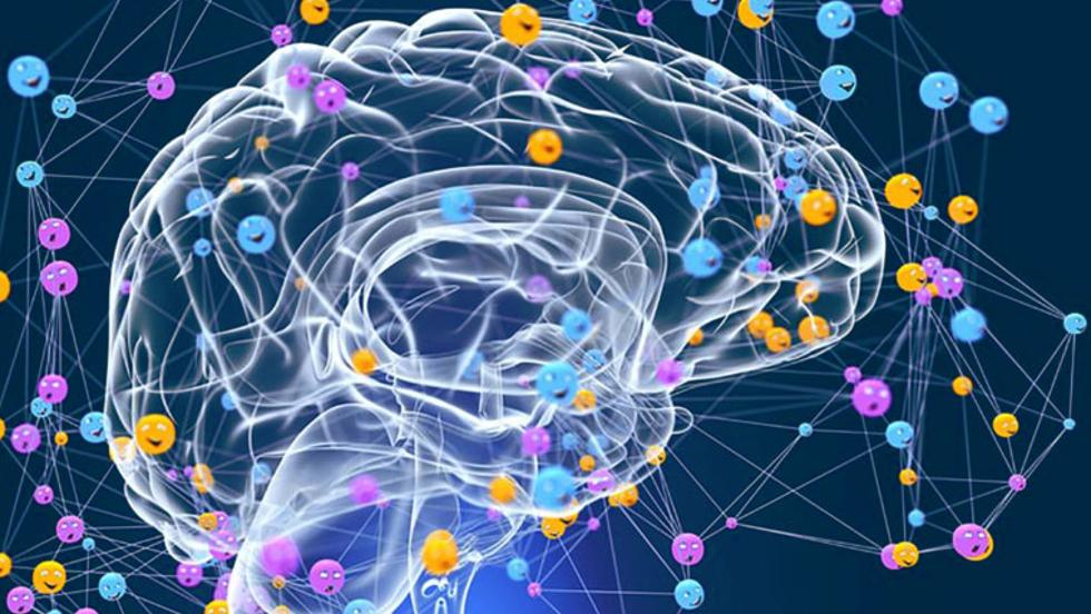 Harmincéves a legintelligensebb magyarok egyesülete Harmincéves a legintelligensebb magyarok egyesülete