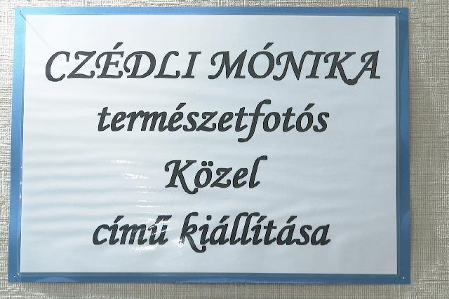 Fotókiállítás nyílt a Liszt iskolában Fotókiállítás nyílt a Liszt iskolában