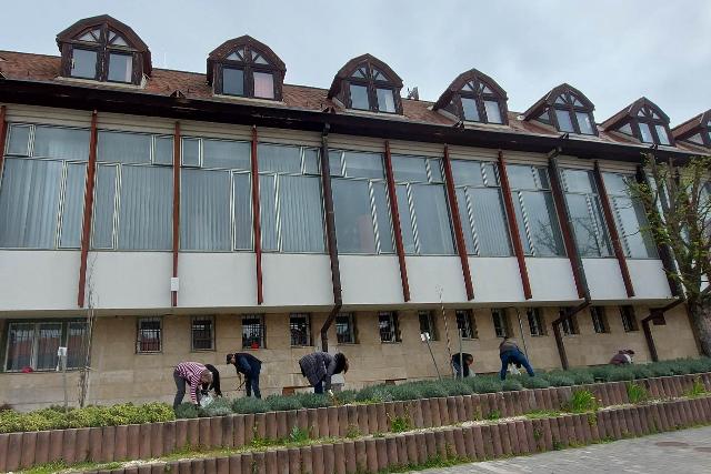 Zöldítés a zöld szemléletű könyvtárban Zöldítés a zöld szemléletű könyvtárban