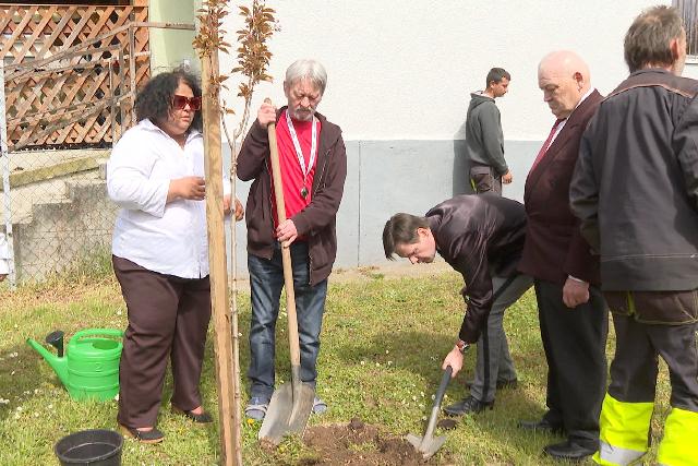 Fkat ltettek a pzvai otthonban