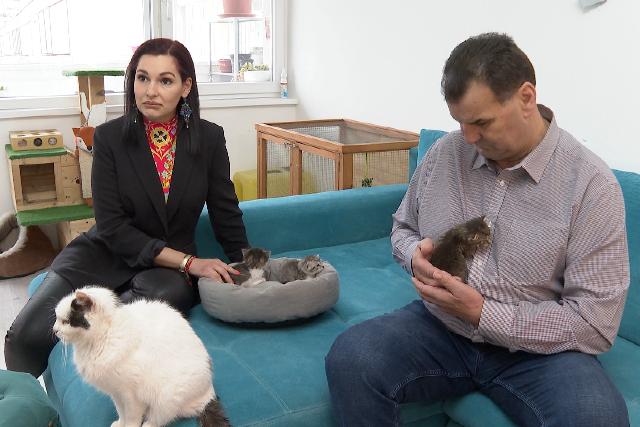 Vigh László: segítsük az állatokkal foglalkozó civil szervezeteket! Vigh László: segítsük az állatokkal foglalkozó civil szervezeteket!