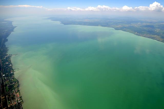 Algahelyzet a Balatonnál - egyelőre alacsony az algabiomassza Algahelyzet a Balatonnál - egyelőre alacsony az algabiomassza