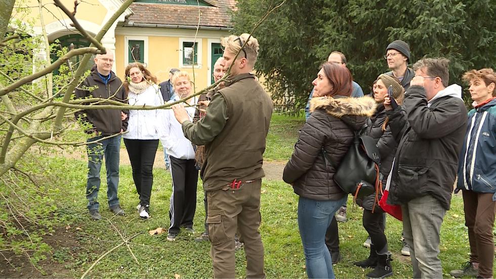 Kikeletváró forgatagot szerveztek a Göcseji Falumúzeumban Kikeletváró forgatagot szerveztek a Göcseji Falumúzeumban