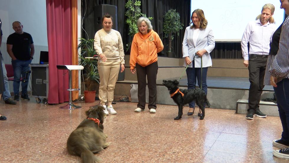 Innovatív terápiás módszerek a fogyatékossággal élőkért – Esélyegyenlőségi Nap Zalaegerszegen Innovatív terápiás módszerek a fogyatékossággal élőkért – Esélyegyenlőségi Nap Zalaegerszegen