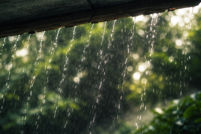 Figyelmeztet�st adtak ki a viharos sz�lre