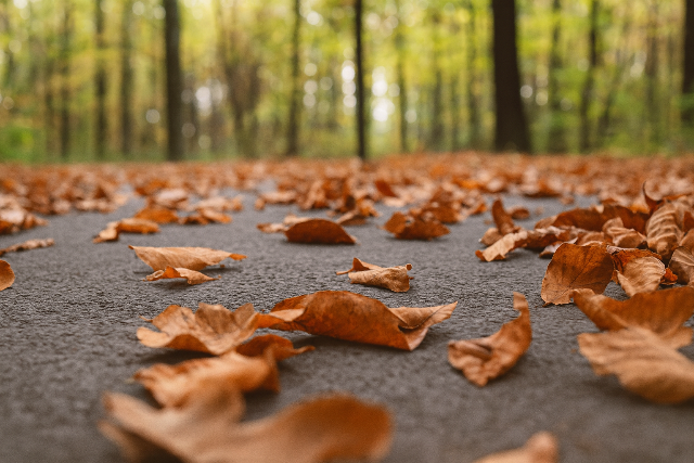 Az ősz eddigi leghidegebb éjszakáján vagyunk túl Az ősz eddigi leghidegebb éjszakáján vagyunk túl