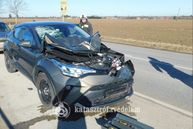 Vadat gázolt egy autó Lentinél Vadat gázolt egy autó Lentinél