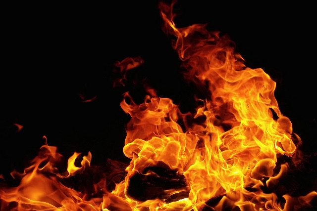 Tujasor égett Zalaegerszegen – feltehetően pirotechnikai eszköz okozhatta a tüzet Tujasor égett Zalaegerszegen – feltehetően pirotechnikai eszköz okozhatta a tüzet