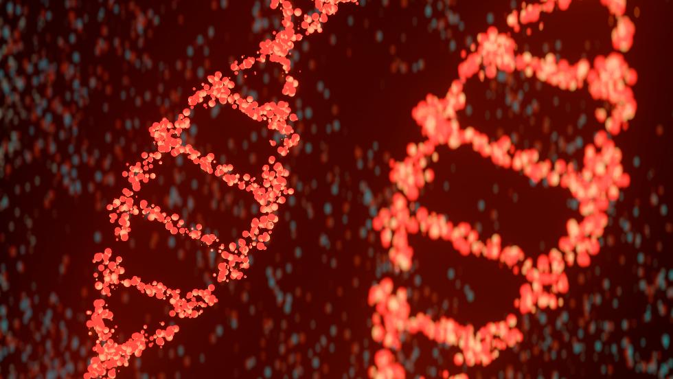 Már Magyarországon is elérhető a DNS-teszt, ami életet menthet Már Magyarországon is elérhető a DNS-teszt, ami életet menthet