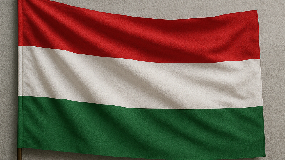 Sulyok Tam�s az �j k�zt�rsas�gi eln�k