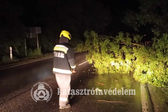 Letört faág akadályozta a közlekedést a 76-os főúton Letört faág akadályozta a közlekedést a 76-os főúton