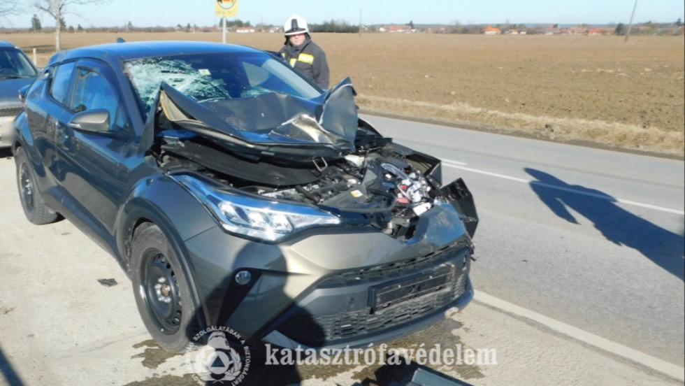 Vadat gázolt egy autó Lentinél Vadat gázolt egy autó Lentinél