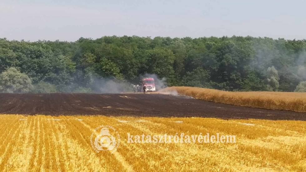 Nagypáli tarlótűz: a szél is nehezítette az egerszegi tűzoltók dolgát Nagypáli tarlótűz: a szél is nehezítette az egerszegi tűzoltók dolgát