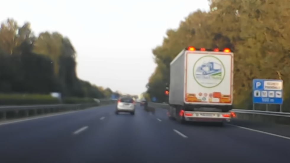 Vaddisznó rohant neki egy autónak az M7-esen Vaddisznó rohant neki egy autónak az M7-esen