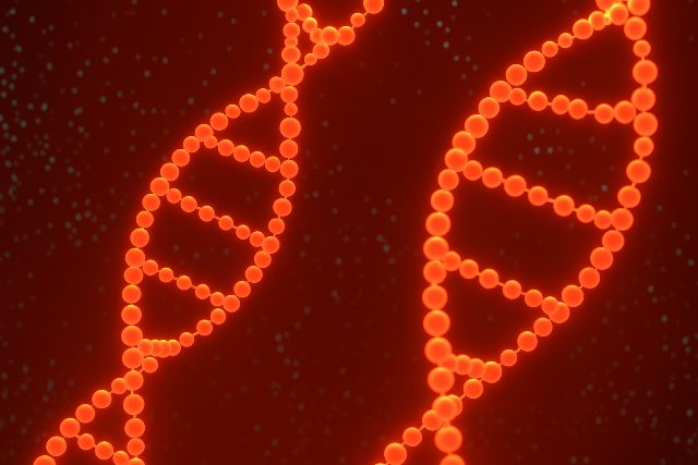 Mr Magyarorszgon is elrhet a DNS-teszt, ami letet menthet