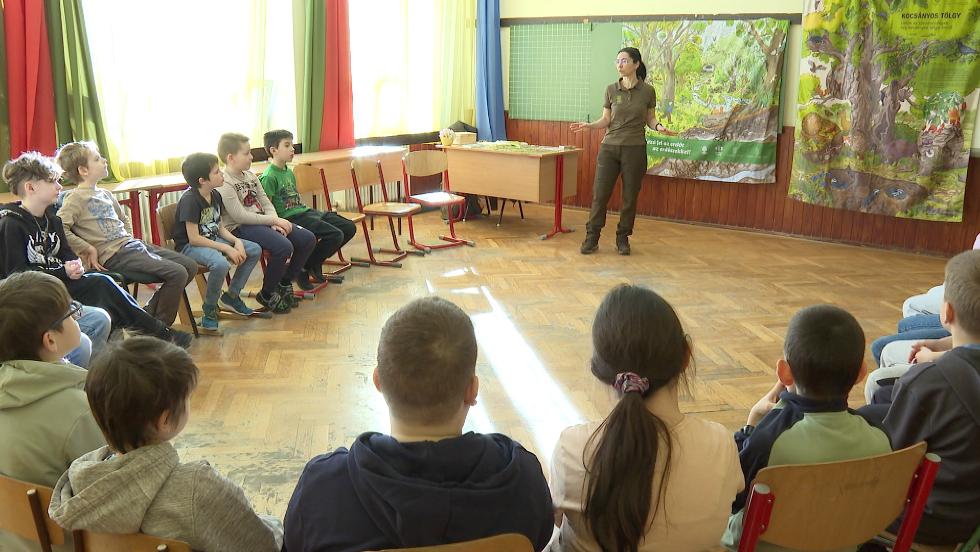 Környezeti nevelés – házhoz ment az erdei iskola Környezeti nevelés – házhoz ment az erdei iskola