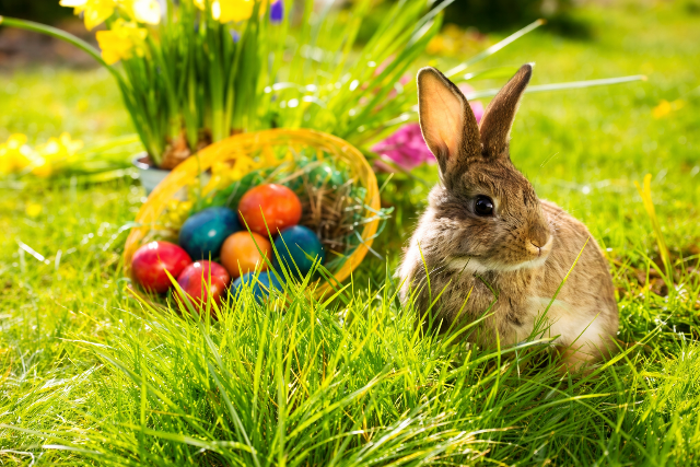 Mi�rt j�rnak a fi�k locsolkodni, �s mi�rt ker�l barka a v�z�ba? 6 k�l�nleges h�sv�ti szok�s eredete