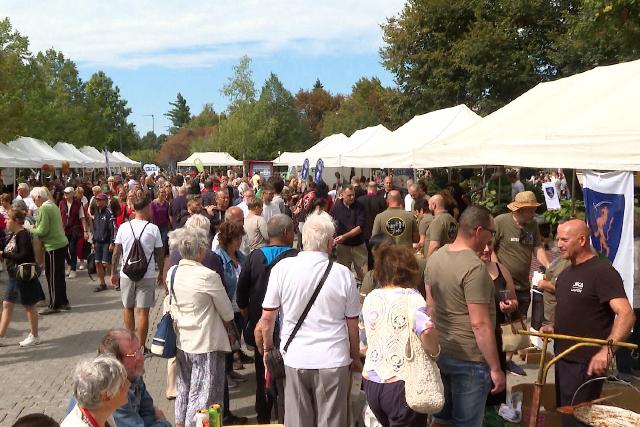 Eg�sz �vben pezseg a v�ros: mutatjuk Zalaegerszeg 2026-os programk�n�lat�t