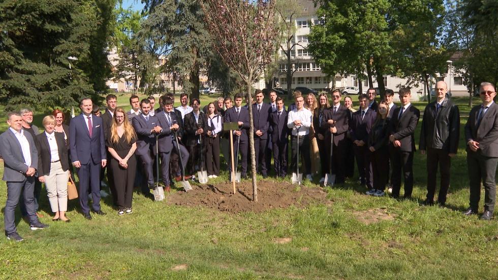 Elültették a végzősök fáját – közös emléket hagytak a jövőnek Elültették a végzősök fáját – közös emléket hagytak a jövőnek