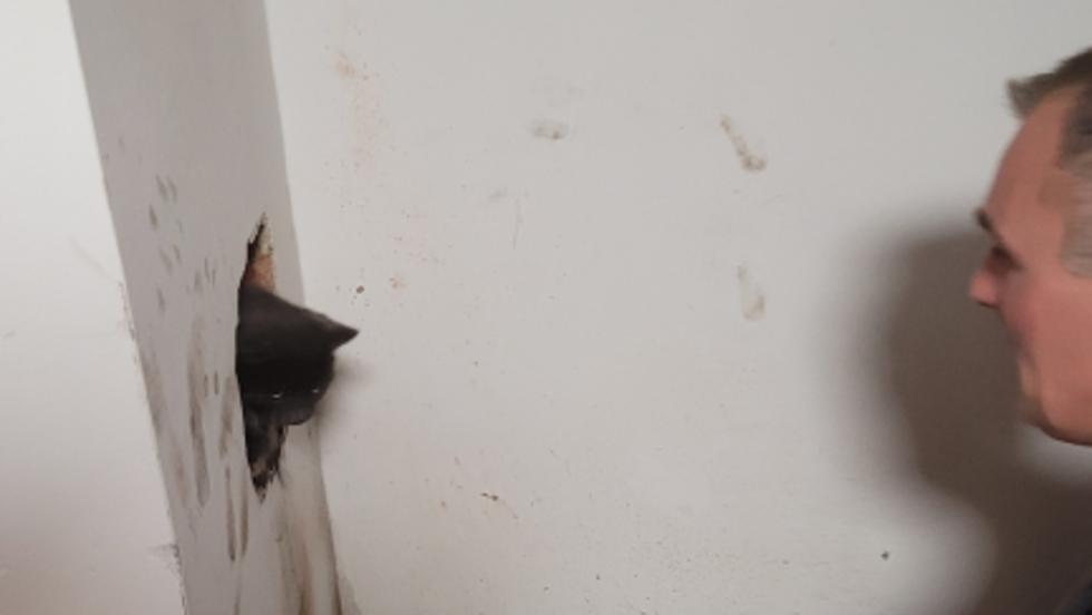 Kmnyben rekedt cict mentettek a zalai tzoltk