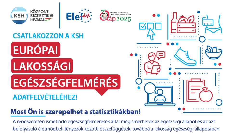 Zalaegerszegen is egszsgfelmrst vgez a KSH 