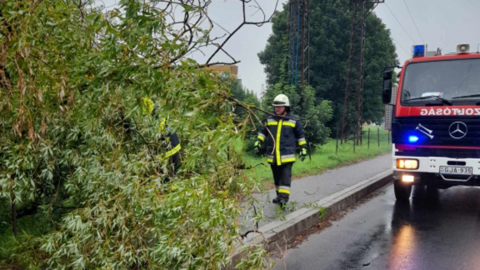 Járdára és úttestre dőlt egy fa Zalaegerszegen Járdára és úttestre dőlt egy fa Zalaegerszegen