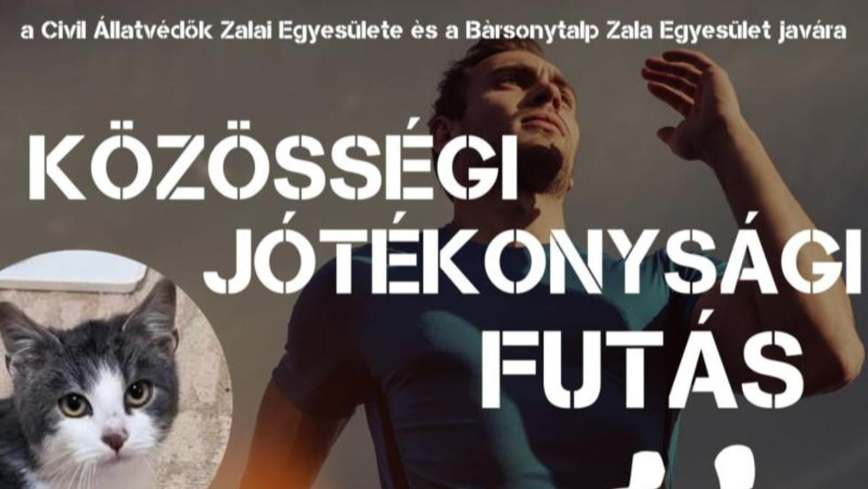Közösségi jótékonysági kutyás futás Közösségi jótékonysági kutyás futás
