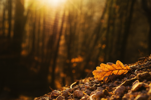 Frontok miatt fjhat a fejnk