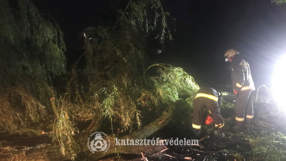 Sorra dőltek a fák – Megdolgoztatta a zalai tűzoltókat a kedd hajnali vihar Sorra dőltek a fák – Megdolgoztatta a zalai tűzoltókat a kedd hajnali vihar