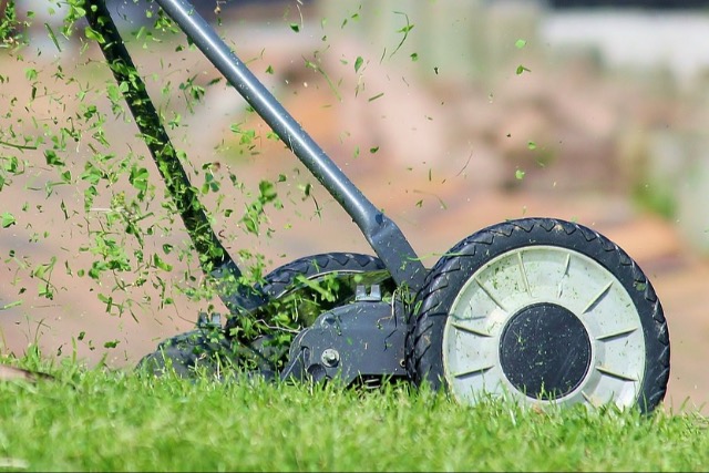 Szebb, mint a f, de mg locsolni s nyrni sem kell annyit - ezt teleptse a kertjbe