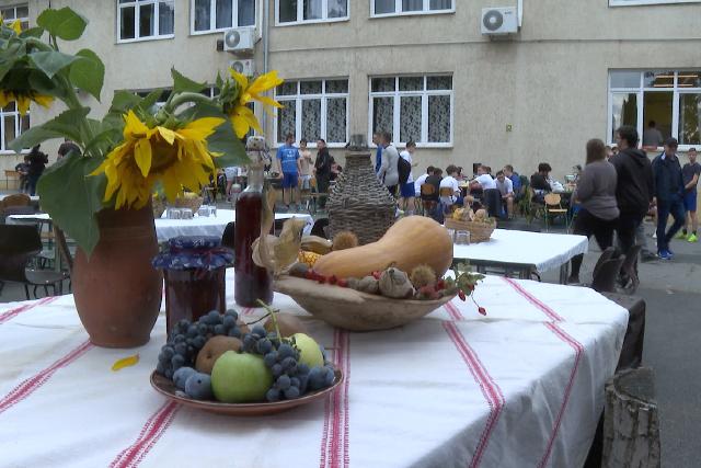 Ilyen volt a Ganz Piknik Ilyen volt a Ganz Piknik