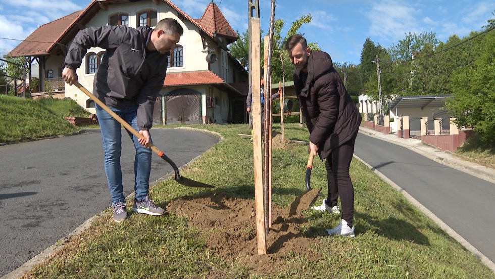 Elltettk az utols csemetket – Befejezdtt a tavaszi faltets