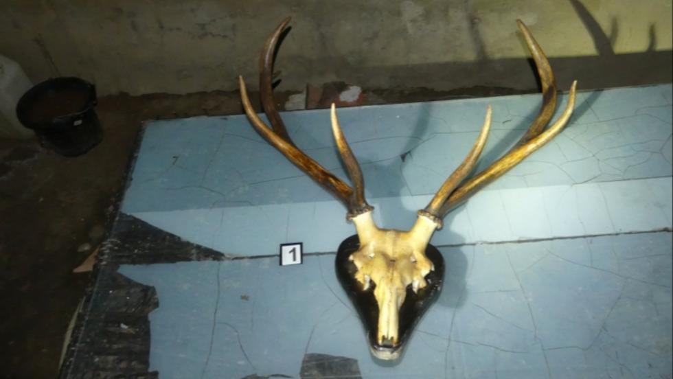 Pontot tettek a betöréssorozat végére a zalakarosi rendőrök Pontot tettek a betöréssorozat végére a zalakarosi rendőrök