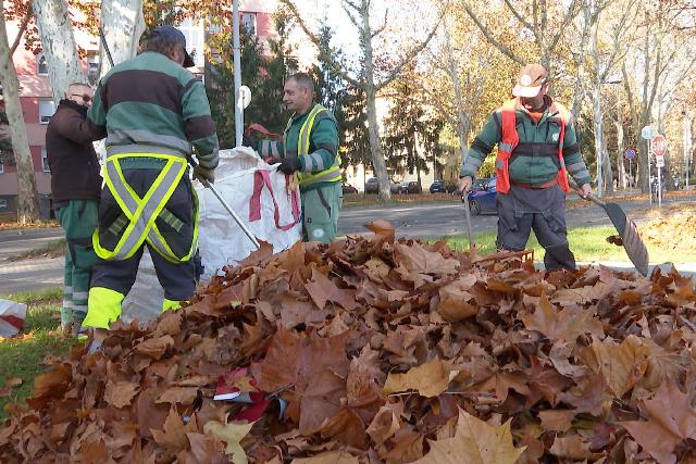 Lombgyjts – vente csaknem 3 ezer tonna zldhulladkot komposztlnak