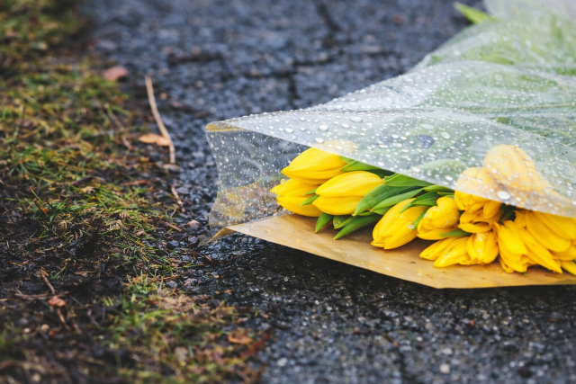 Meg�rkezhetnek a tavaszi szezon els� zivatarjai