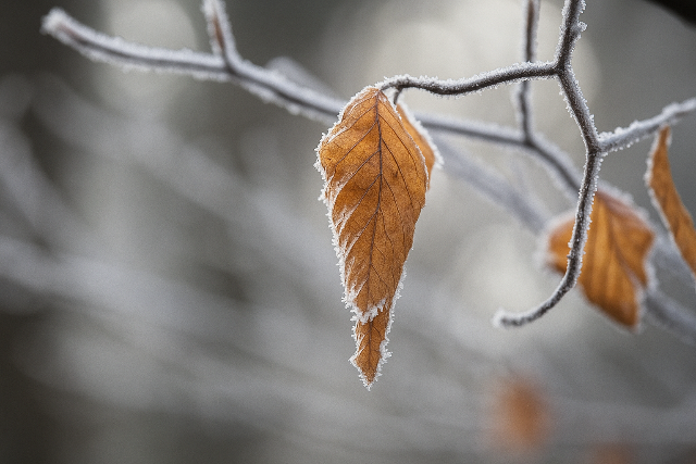 2700 km hosszan elny�l� hidegfront szeli �t Eur�p�t