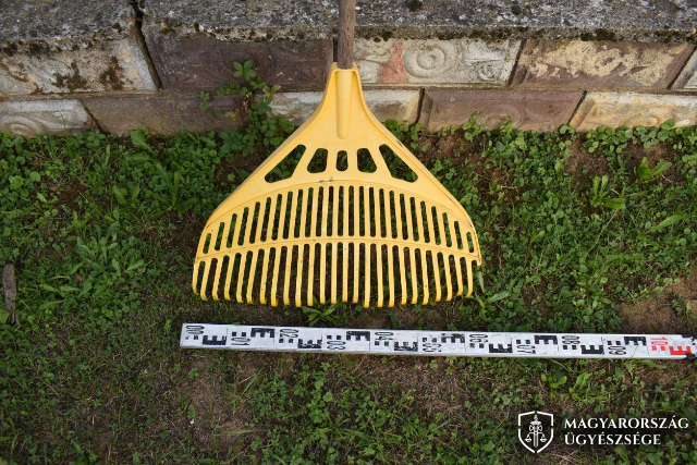 Lombsepr�vel �t�tte a mozg� aut�t – V�dat emelt az egerszegi �gy�szs�g 
