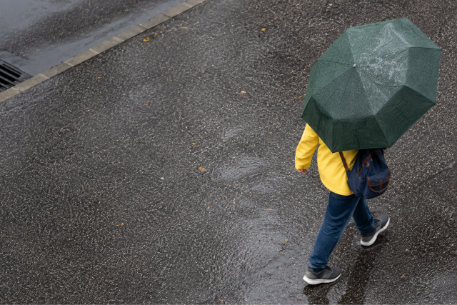 Med�rd napja: t�nyleg 40 napig esni fog?