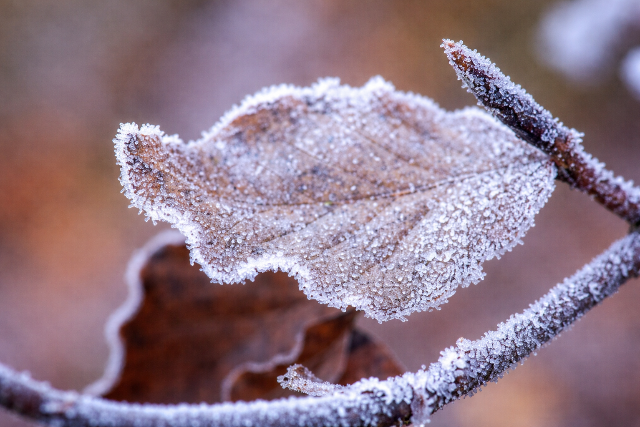 Vas�rnap visszacs�ppen�nk a k�s� t�lbe