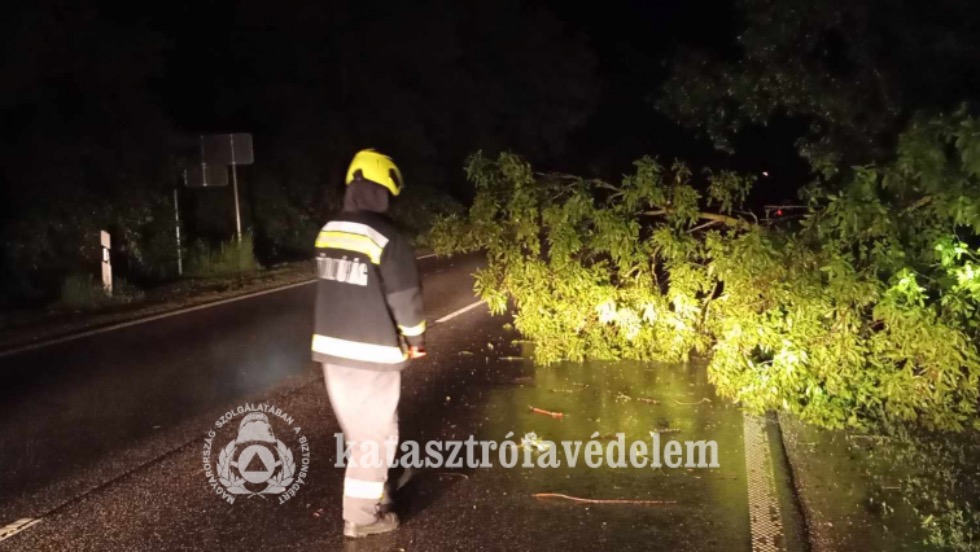 Letört faág akadályozta a közlekedést a 76-os főúton Letört faág akadályozta a közlekedést a 76-os főúton