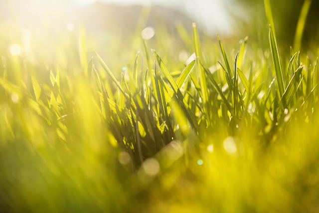 Keddt�l orsz�gszerte a naps�t�s� a f�szerep