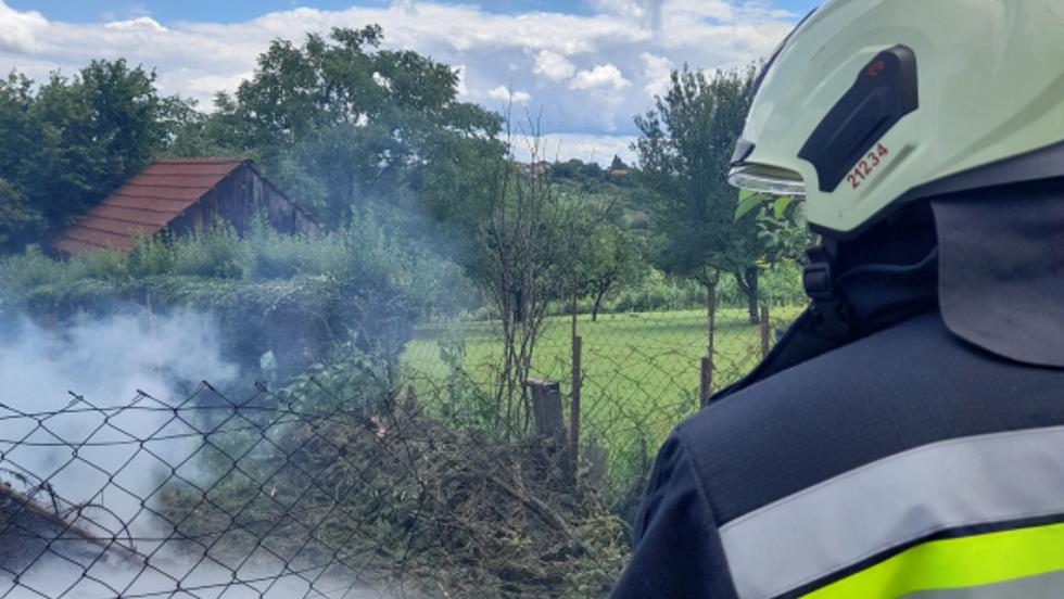 Fenyőágak égtek Zalaegerszegen Fenyőágak égtek Zalaegerszegen