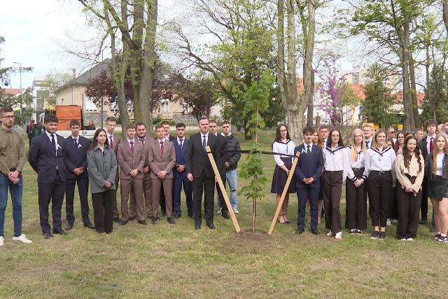 El�ltett�k a v�gz�s�k f�j�t