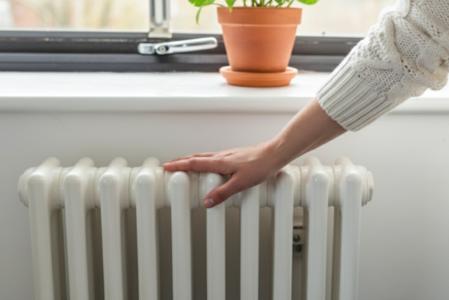 J�n a janu�ri rezsistop