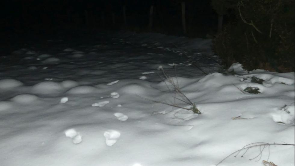 Nem jutott messzire: menekülés közben eltört a lába egy betörőnek Zalában Nem jutott messzire: menekülés közben eltört a lába egy betörőnek Zalában