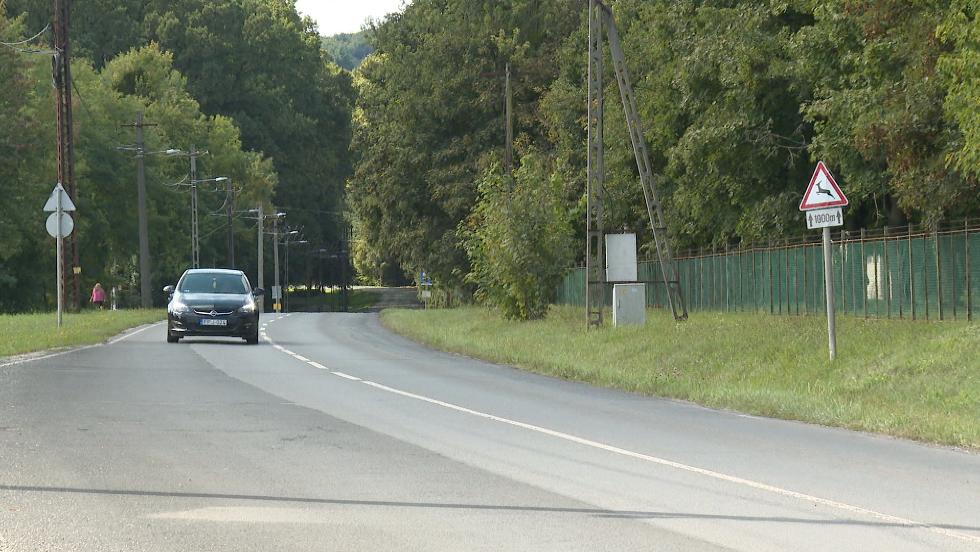 Elkezdődött a szarvasvadászat a zalai erdőkben Elkezdődött a szarvasvadászat a zalai erdőkben