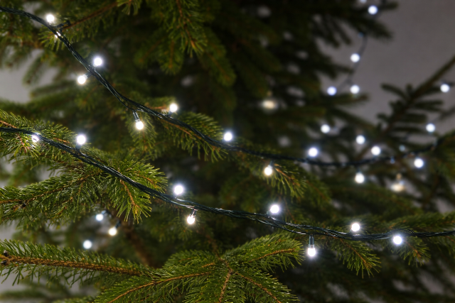 Szinte minden vizsg�lt f�nyf�z�r vesz�lyes